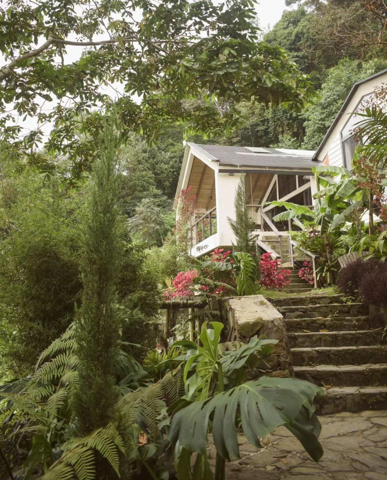 Minca Casa Las Nubes - Un Refugio Natural En La Sierra Nevada, Santa Marta, Col ภายนอก รูปภาพ